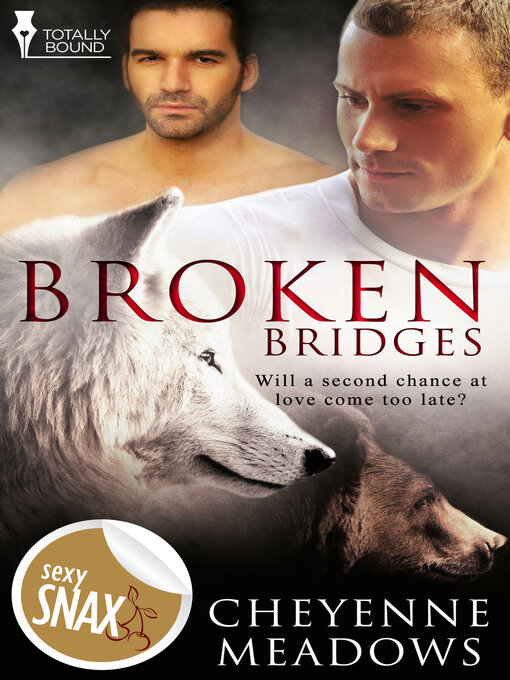 Title details for Broken Bridges by Cheyenne Meadows - Available